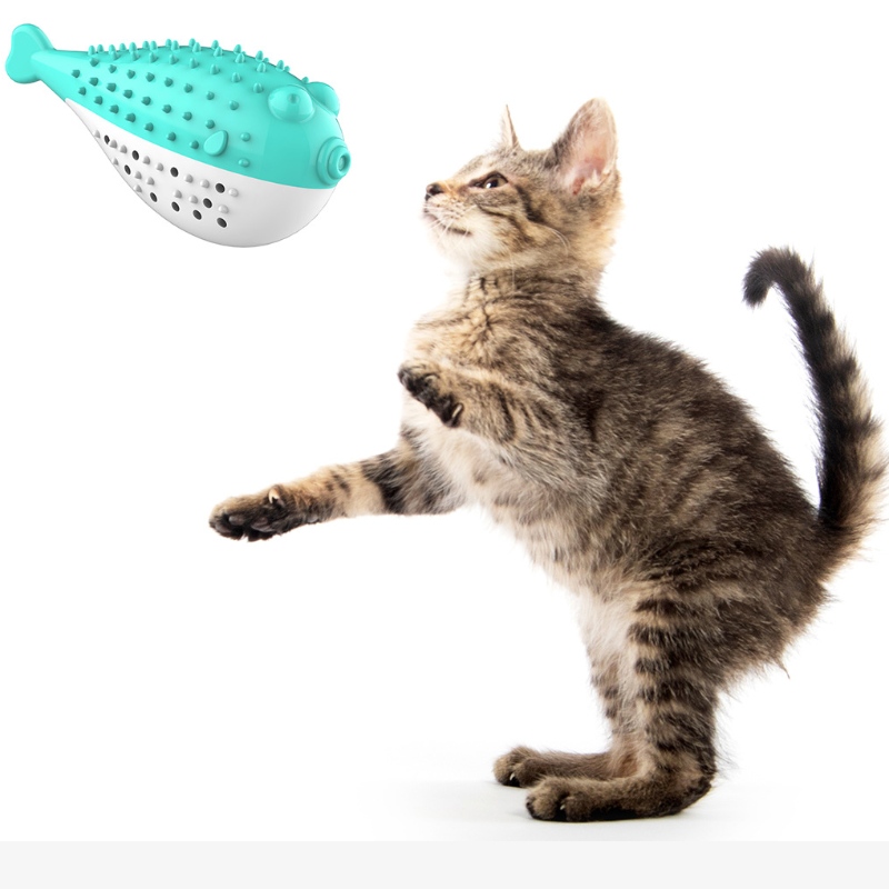 Furjoyz Bán buôn Đồ chơi thú cưngngộnghĩnh Bàn chải đánh răng Đồ chơi Tương tác Mèo di động Thông minh Răng Cao su Catnip Cat Toy