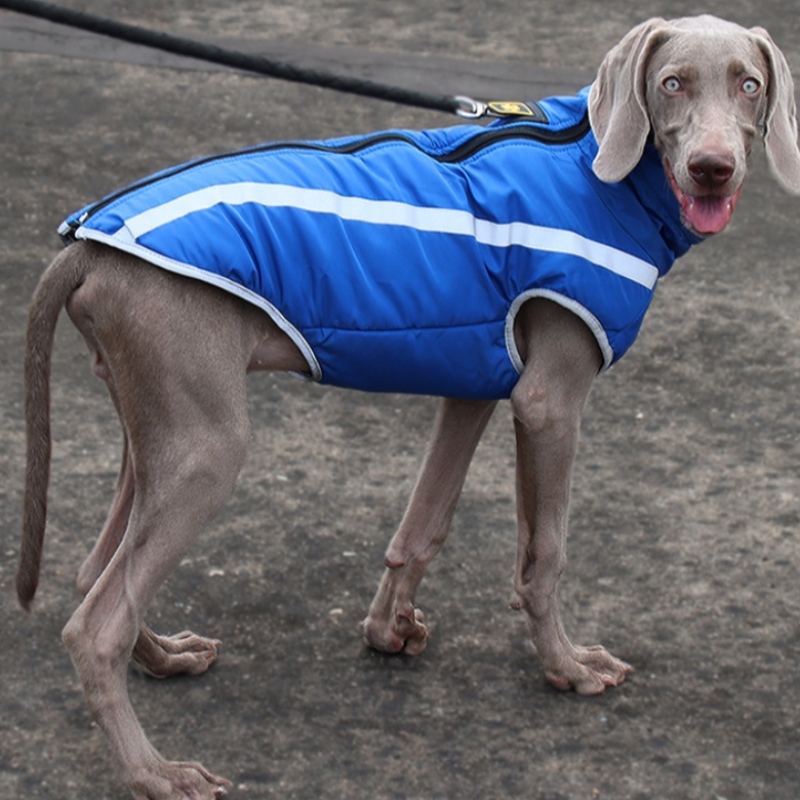 Nhà sản xuất bán buônngoài trời phong cách mát mẻ mạnh mẽ chủ đề áo khoác chó chốngnước áo khoác