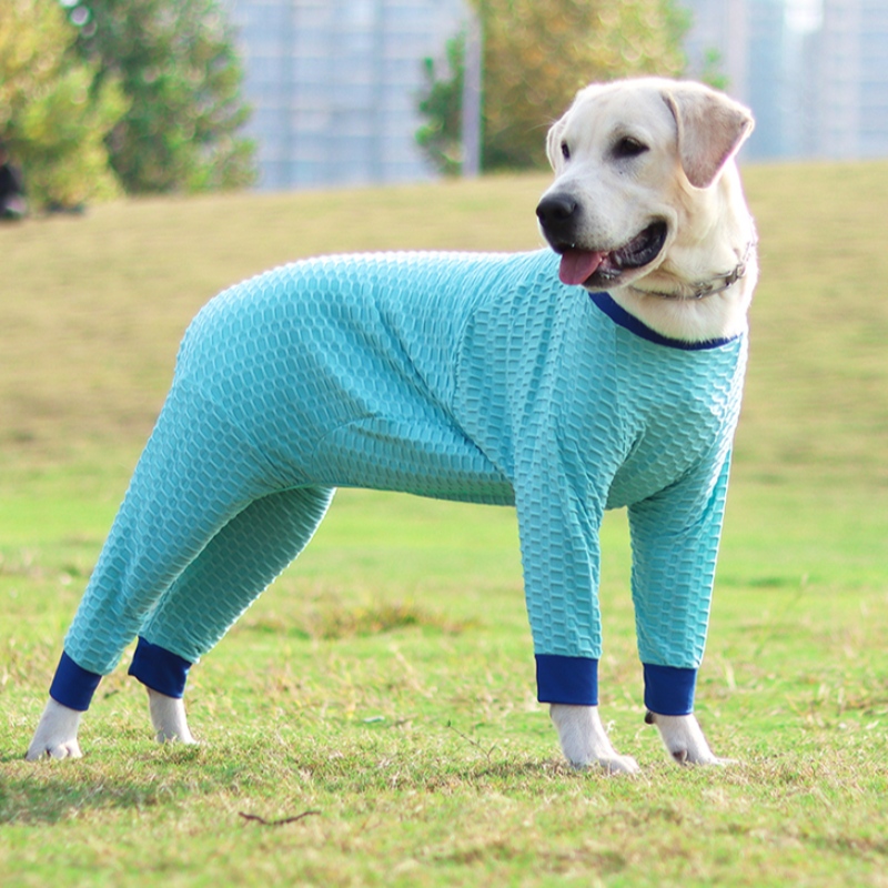 Thiết kế mới Tùy chỉnh mùa đông Pet Dog Quần áo Mới Pet Quần áo Đàn hồi Áo len Bánnóng Áo len thú cưng