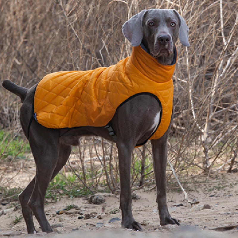 Amazon Hot Hot New Pet Quần áo Dog Quần áo mùa thu và mùa đông Áo len thun dày