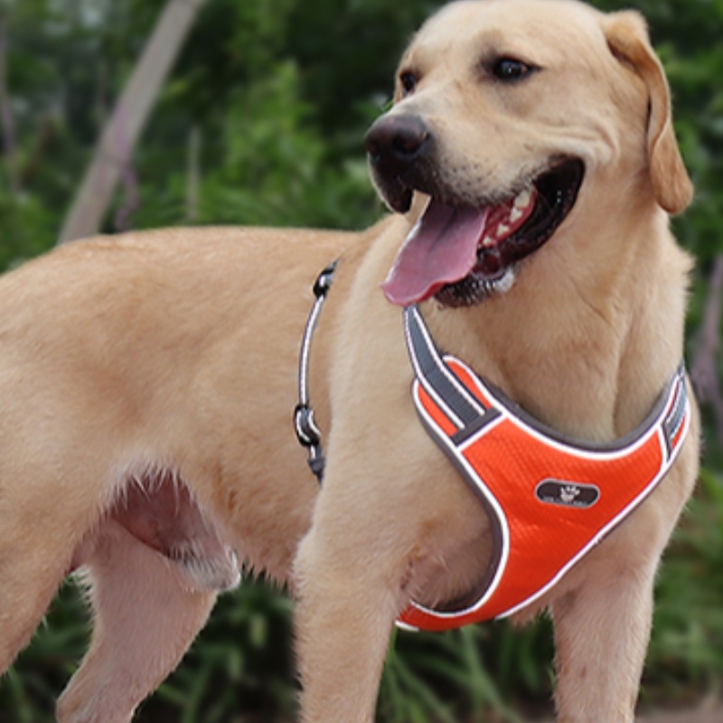 Bán buôn OEM Sản xuất Tùy chỉnh cao cấp Chó khai thác Luxury Pet Dog Reversible Khai thác Chó phản chiếu Khai thác